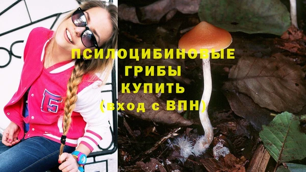 марки nbome Алзамай