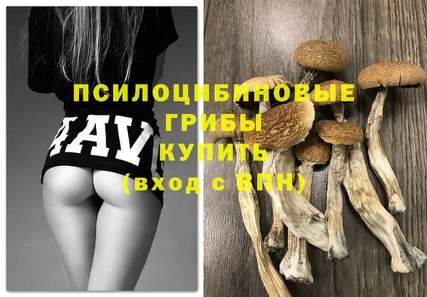 марки nbome Алзамай