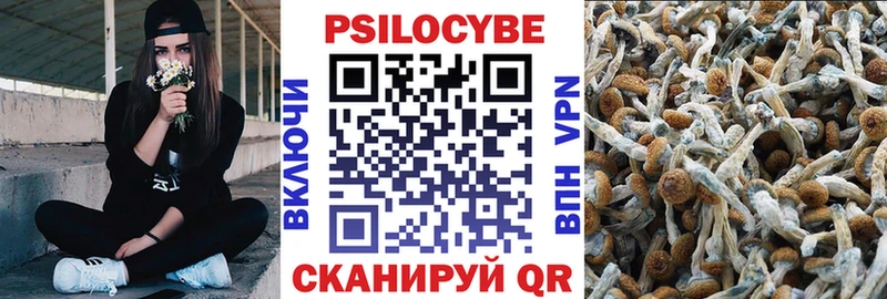 Псилоцибиновые грибы Magic Shrooms  МЕГА tor  Ивдель 
