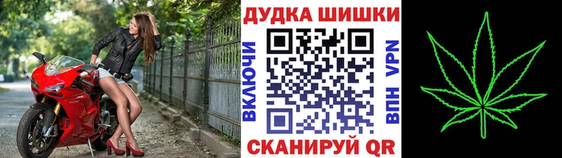 цена наркотик Ивдель Шишки марихуана ГИДРОПОН